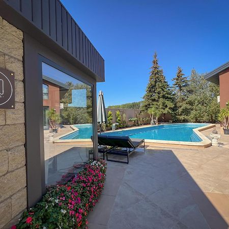 Pino - Villa, Casa, Cucina Е Terrazza 알베나 외부 사진