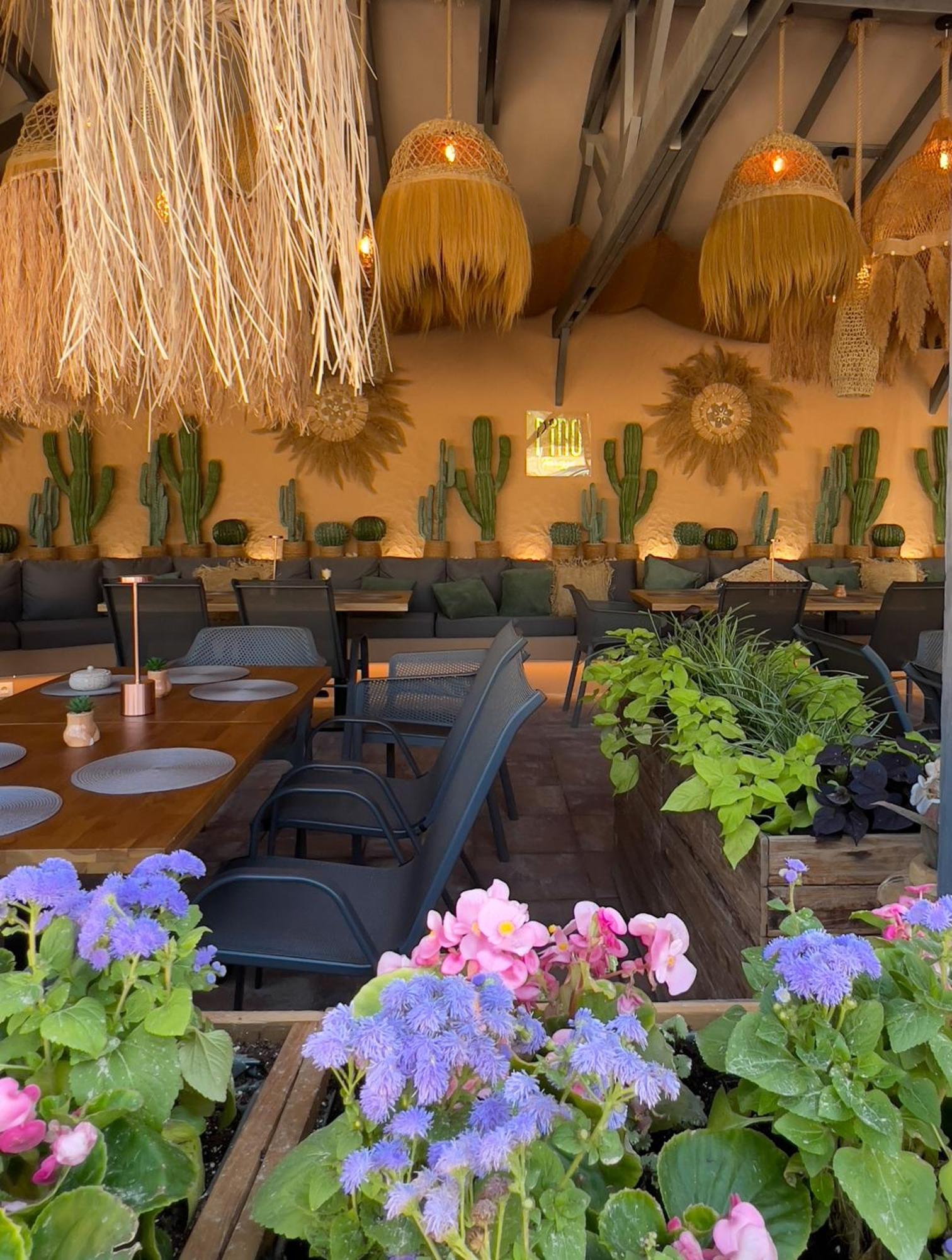 Pino - Villa, Casa, Cucina Е Terrazza 알베나 외부 사진