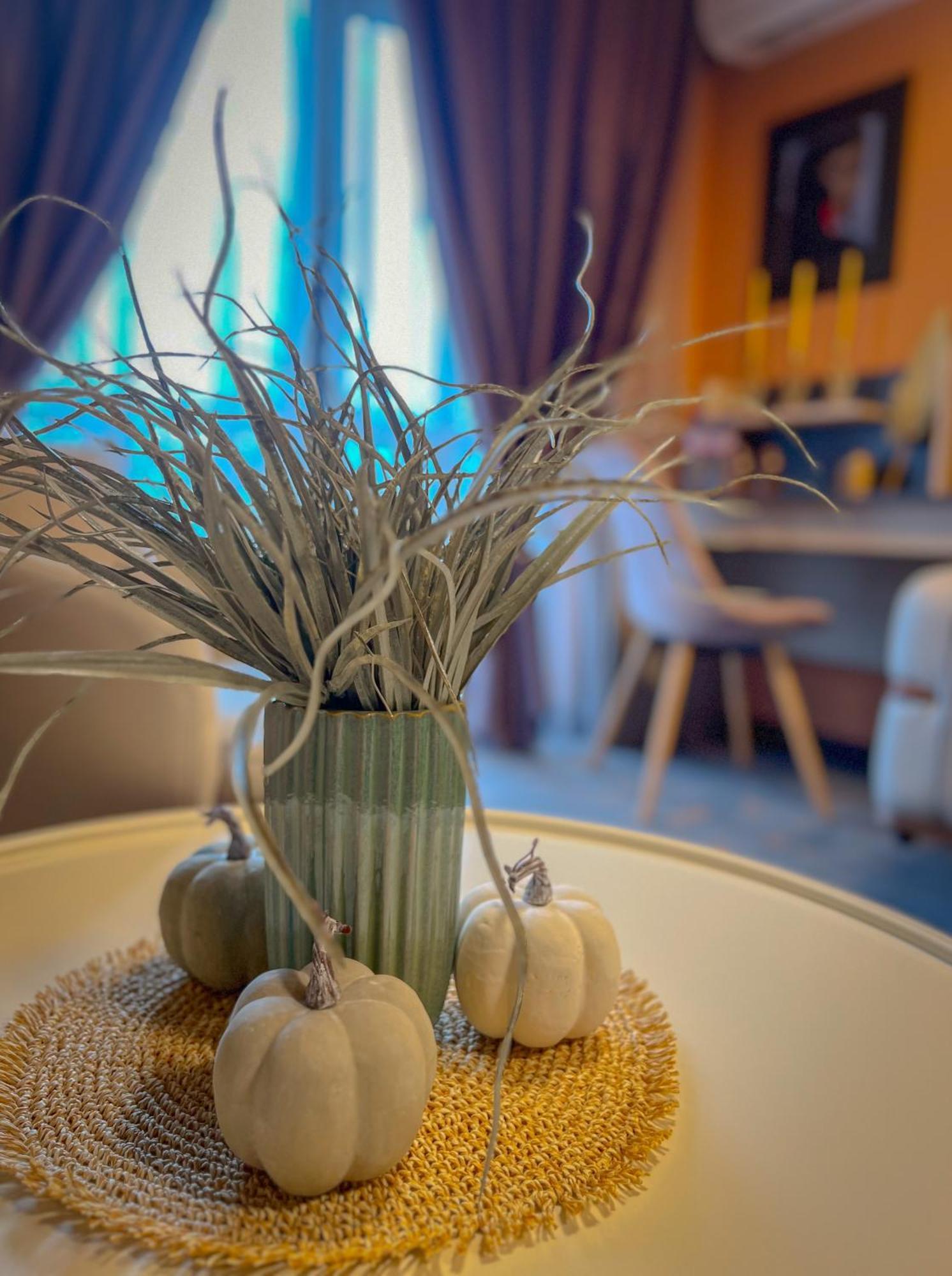 Pino - Villa, Casa, Cucina Е Terrazza 알베나 외부 사진